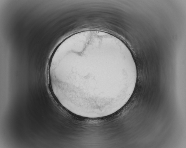 X0000093381522200711081534