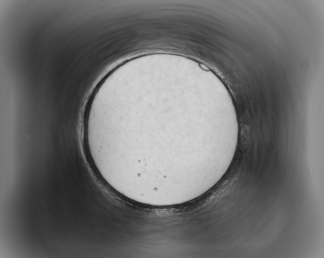 X0000093381523200711081534