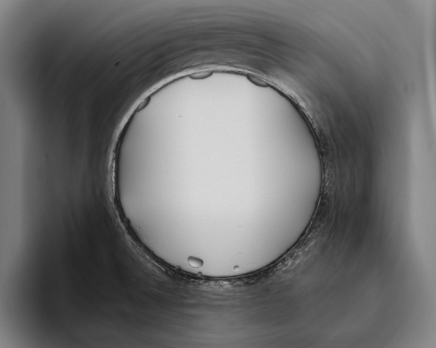 X0000093381524200711081534