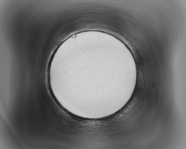 X0000093381525200711081535