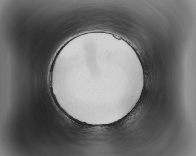 X0000093381527200711081535