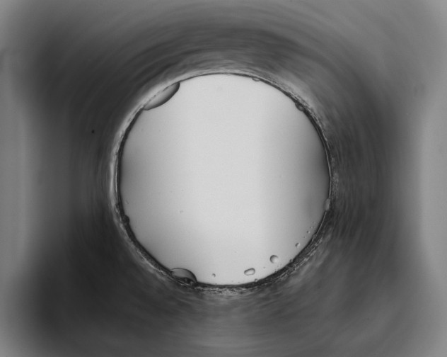 X0000093381528200711081535