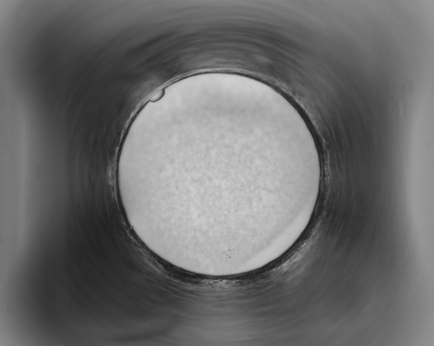 X0000093381529200711081535