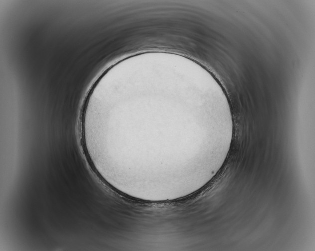 X0000093381531200711081535