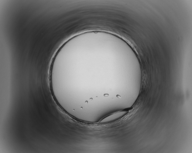 X0000093381535200711081535