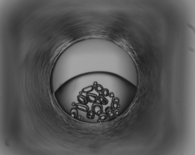 X0000093390001200710111356