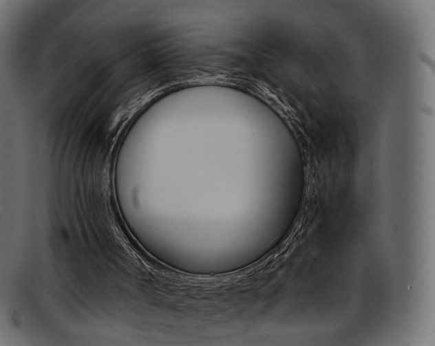 X0000093390002200710111356