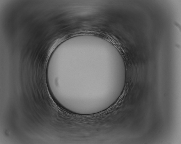 X0000093390003200710111356