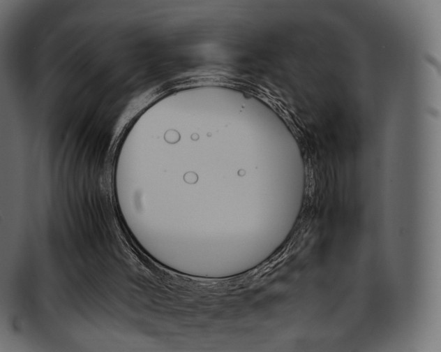 X0000093390004200710111356