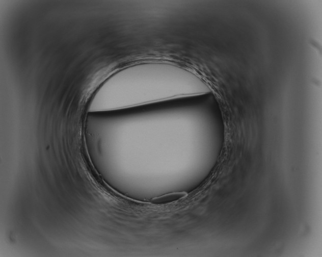 X0000093390005200710111356