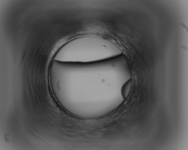 X0000093390006200710111356