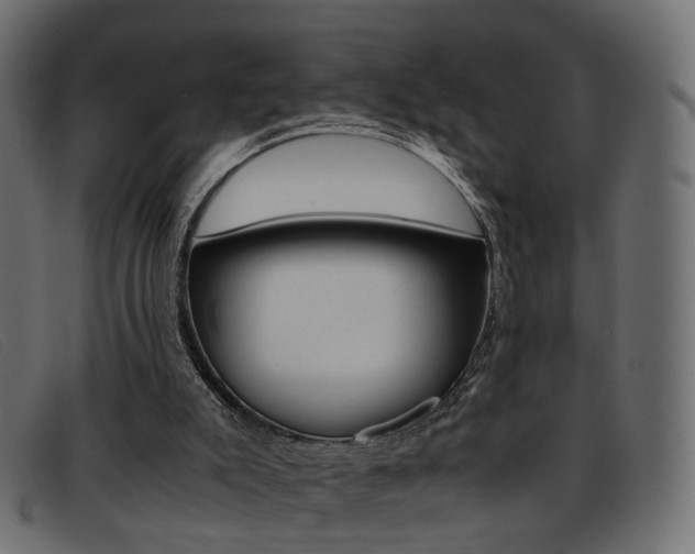X0000093390007200710111356
