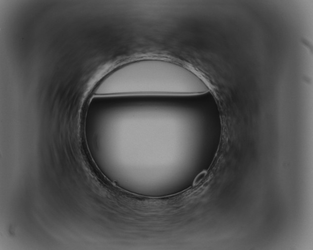 X0000093390008200710111356