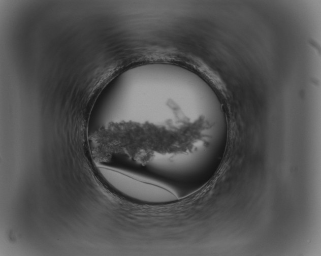 X0000093390009200710111356