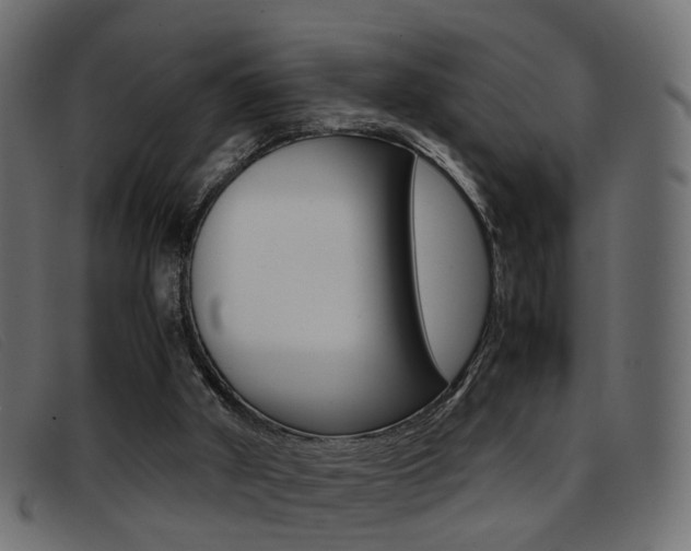 X0000093390010200710111356