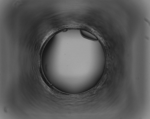 X0000093390011200710111356