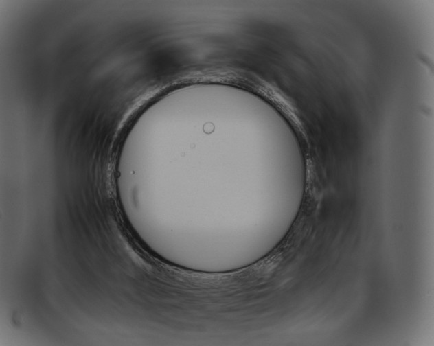 X0000093390012200710111356