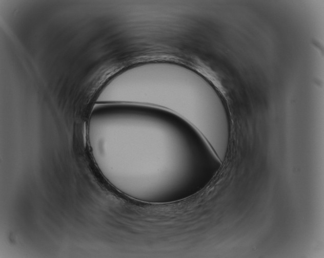 X0000093390013200710111356