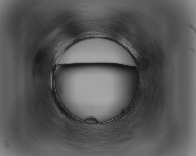 X0000093390014200710111356