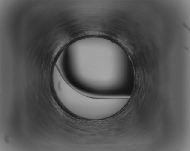 X0000093390015200710111356