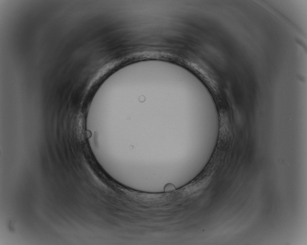 X0000093390016200710111356