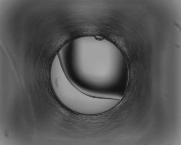 X0000093390017200710111356
