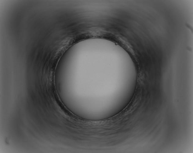 X0000093390018200710111356