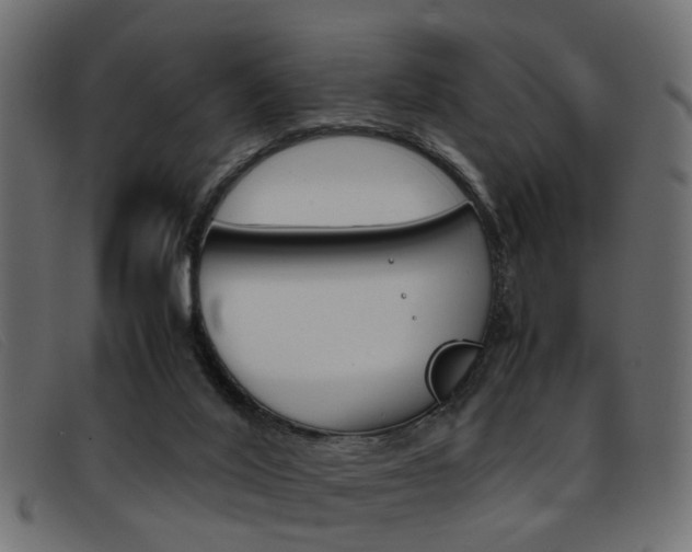 X0000093390020200710111356