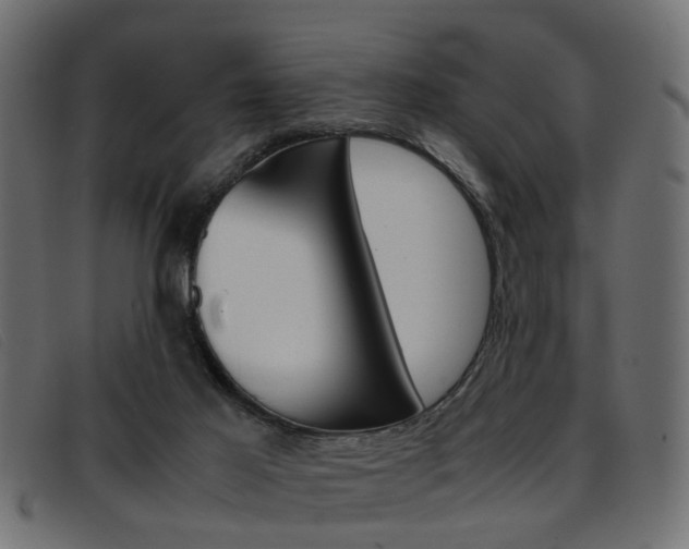 X0000093390021200710111356