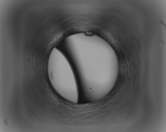 X0000093390023200710111356