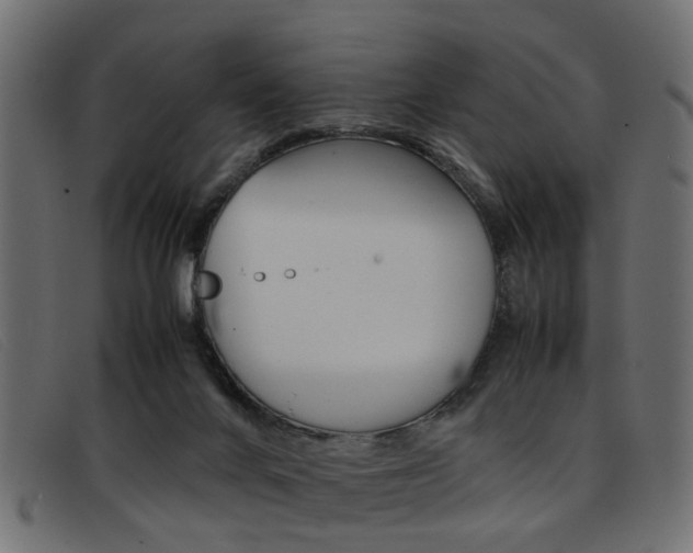 X0000093390024200710111356