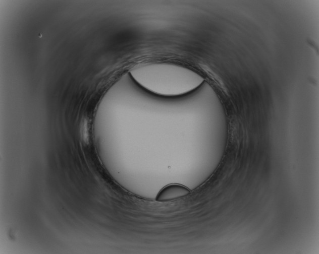 X0000093390026200710111356