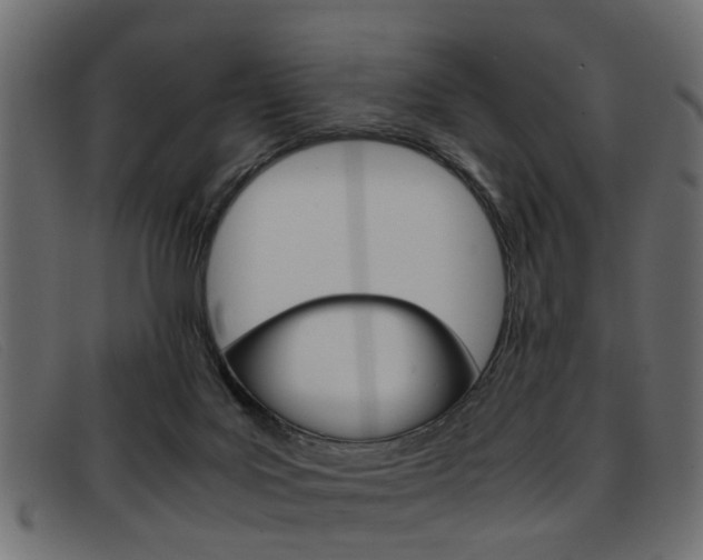 X0000093390027200710111356