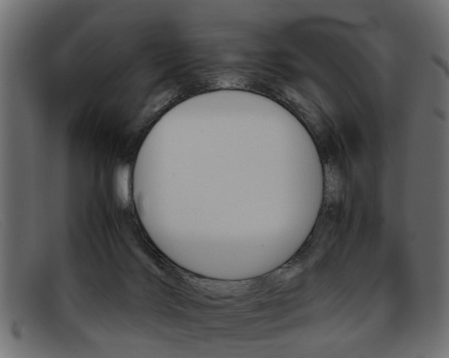 X0000093390028200710111356
