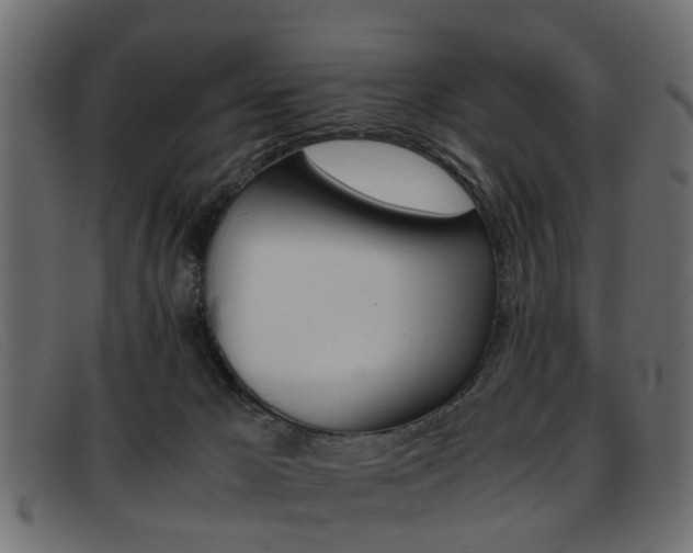 X0000093390029200710111356