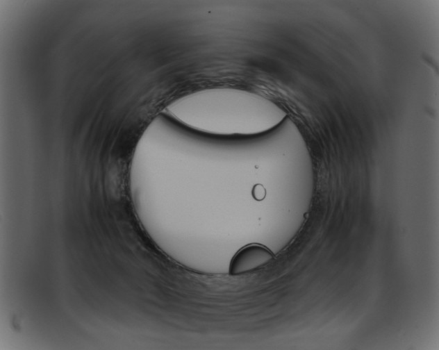 X0000093390030200710111356