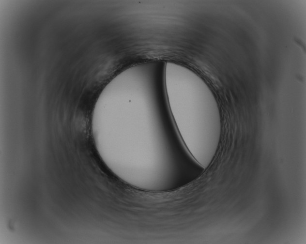 X0000093390031200710111356