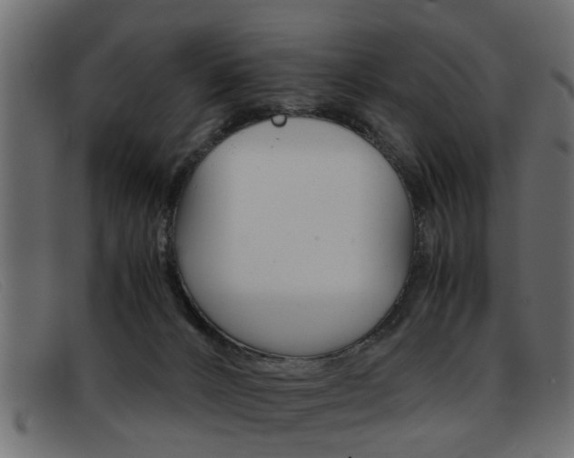 X0000093390032200710111356