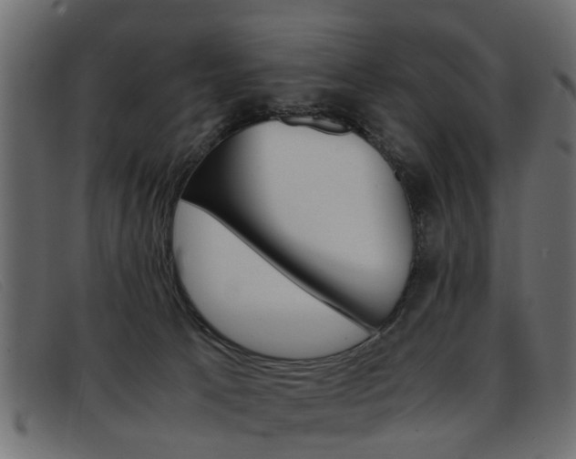 X0000093390033200710111356