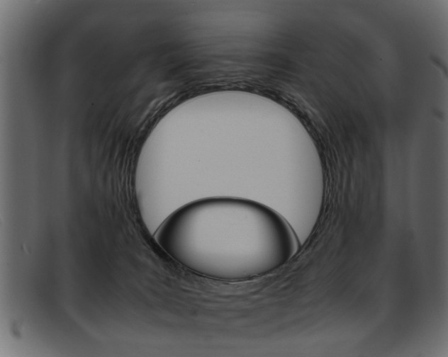 X0000093390035200710111356
