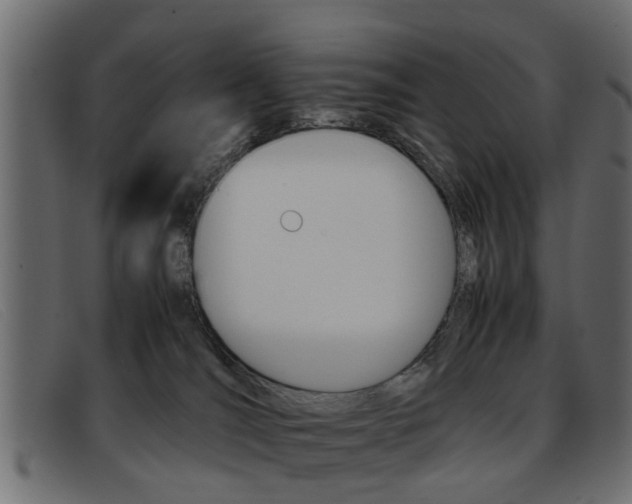 X0000093390036200710111356
