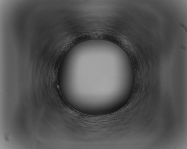 X0000093390037200710111356