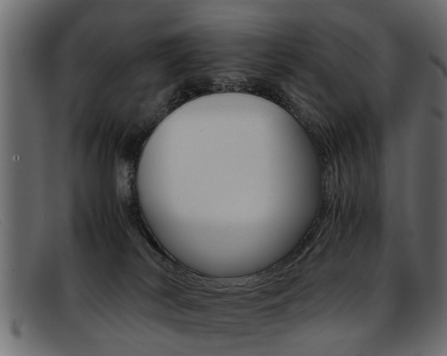X0000093390038200710111356