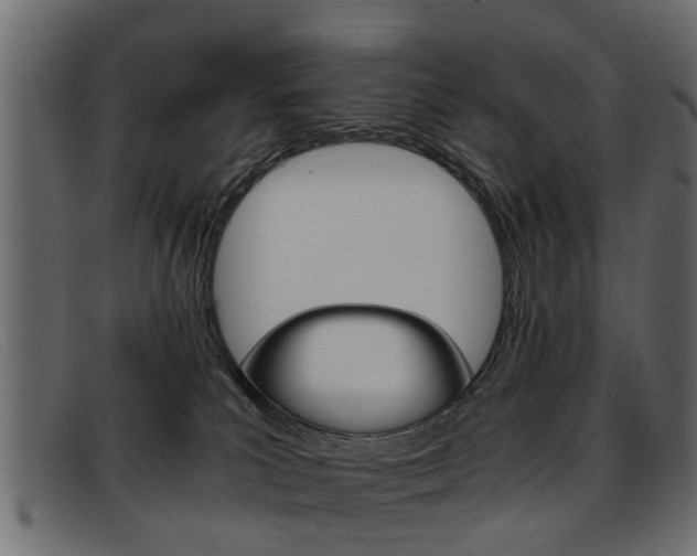 X0000093390039200710111356