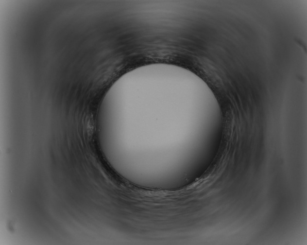 X0000093390040200710111356