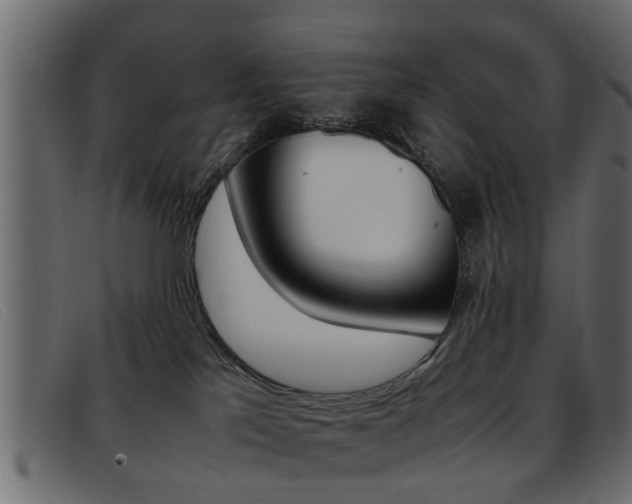 X0000093390041200710111356