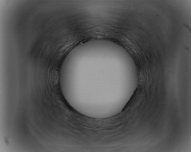 X0000093390043200710111356