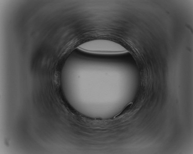 X0000093390044200710111356