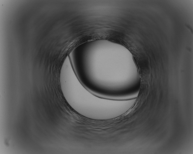 X0000093390045200710111355