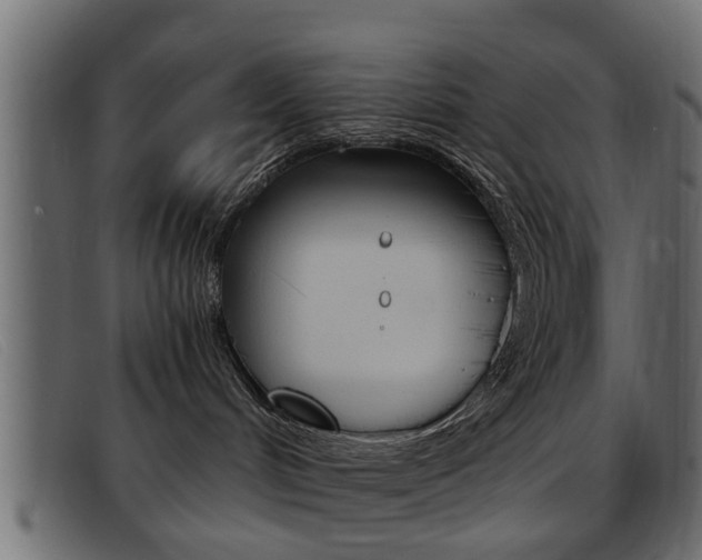 X0000093390048200710111355